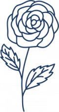 sf-5-oqdjvaw0vvxog5fu5lt5l8vvv7e94he965xd6tz1em.png
